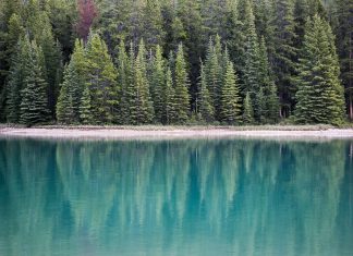 10 of the main causes of back and neck pain